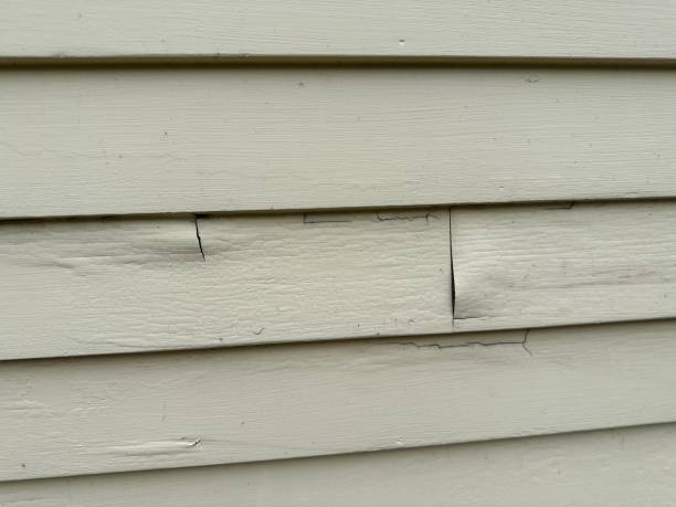 Affordable siding repair and maintenance services in Fayette, IA